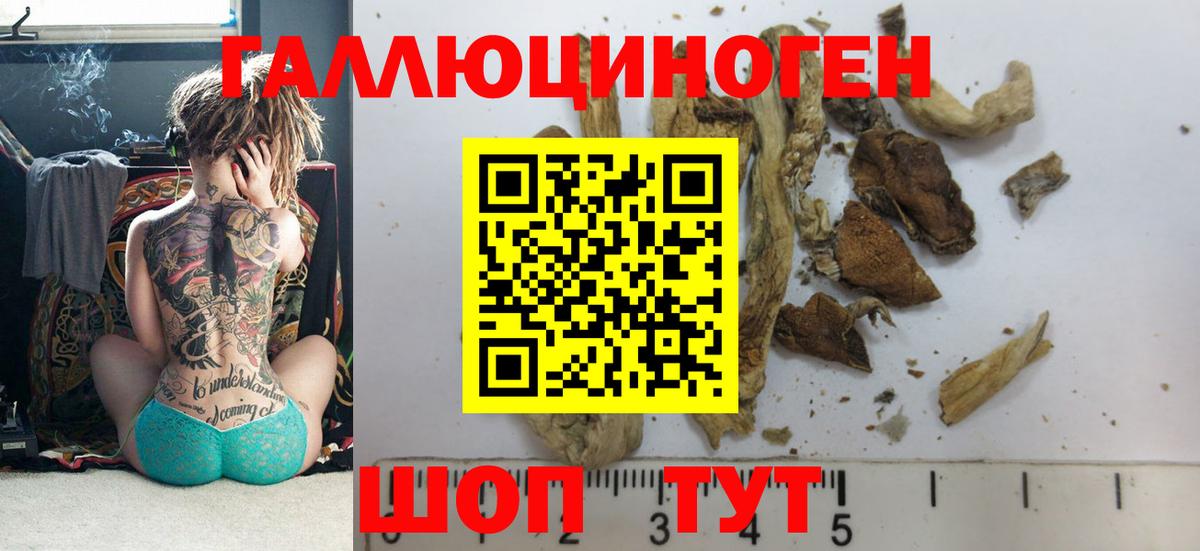 Галлюциногенные грибы GOLDEN TEACHER Назрань