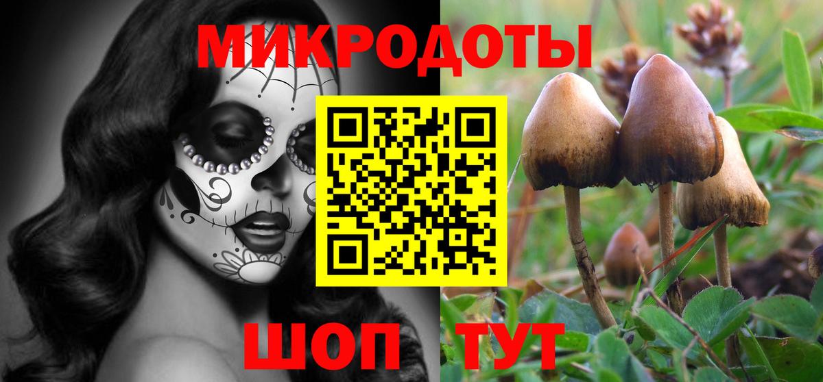 Назрань  Псилоцибиновые грибы MAGIC MUSHROOMS  Вход с VPN 